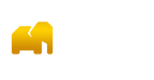 Elephant Ventures